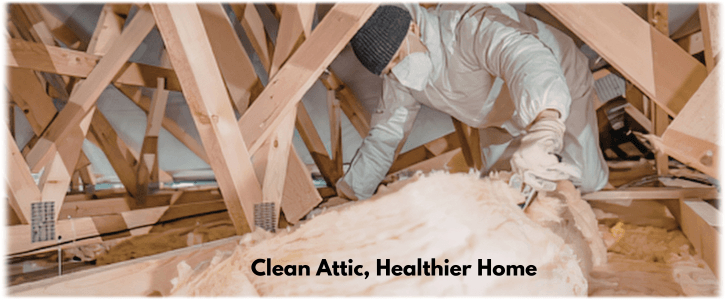 Attic Cleaning McKinney TX