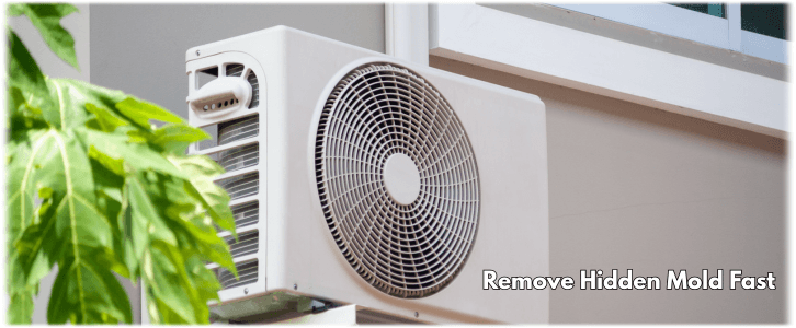HVAC Mold Removal McKinney TX